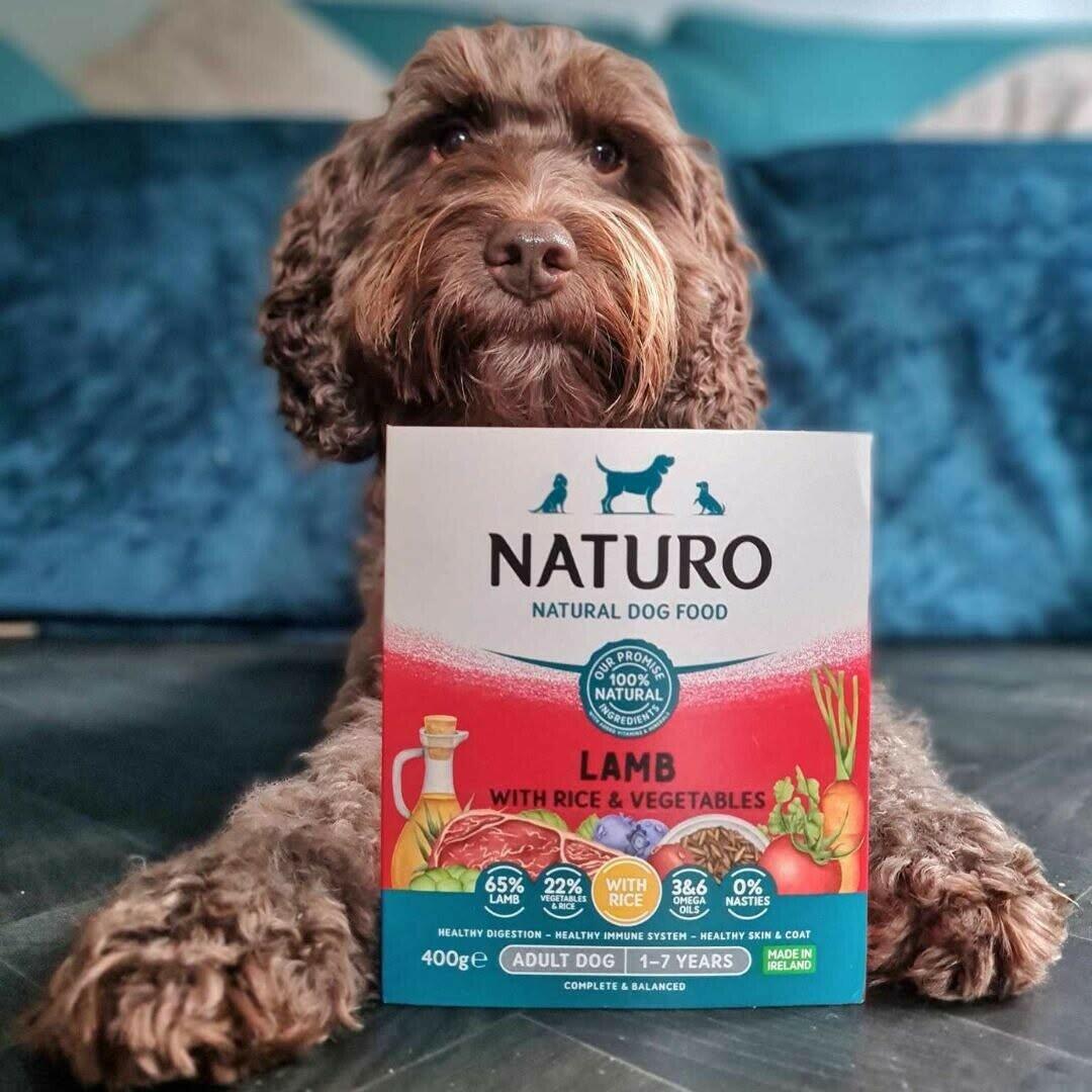 Natural Dog Food Wheat Free Gluten Free and Grain Free Naturo Pet Foods