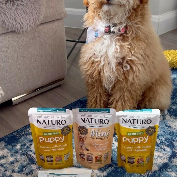 Naturo Dog Food Good Or Bad atelieryuwa.ciao.jp