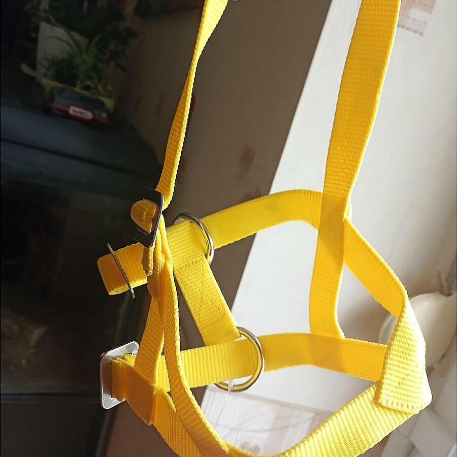 Collier Nylon Orange Fluo Avec Grelot