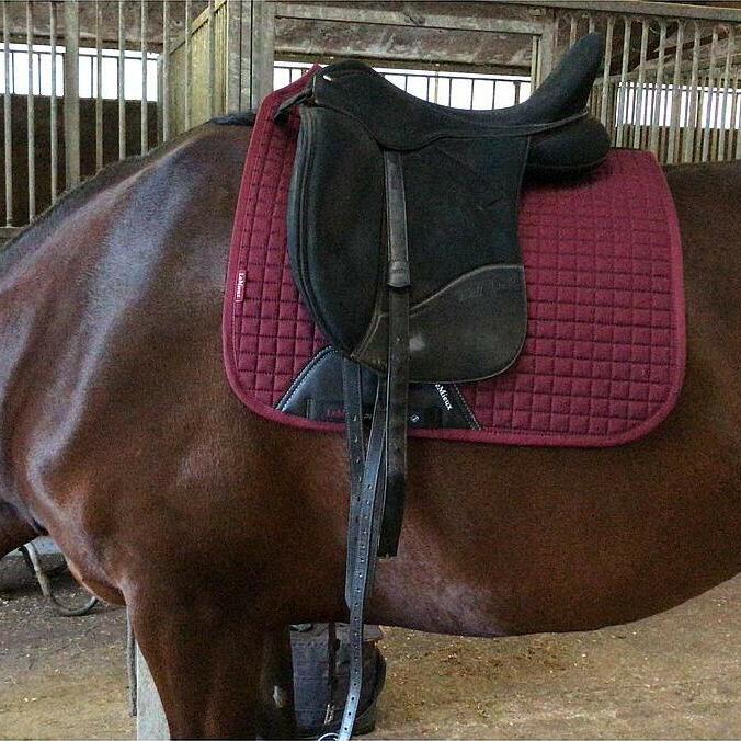 Tapis De Selle De Dressage LeMieux ProSport Taille L - Gris, Occasion
