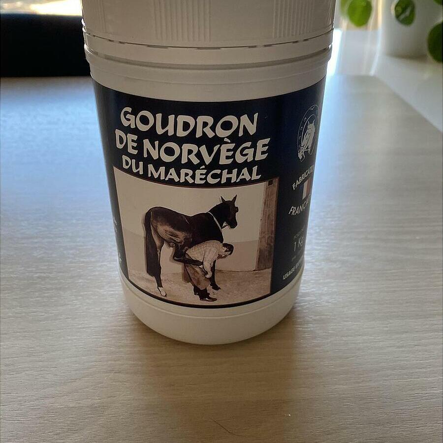 Le meilleur goudron de Norvège pour les sabots du cheval