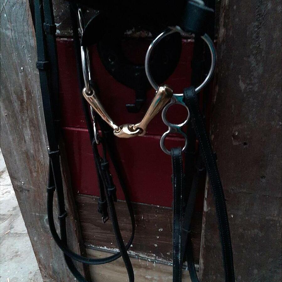 Mors De Cheval Kelly Non Marqué - Vintage Années 1950 - Pièce D'Équitation Ancienne