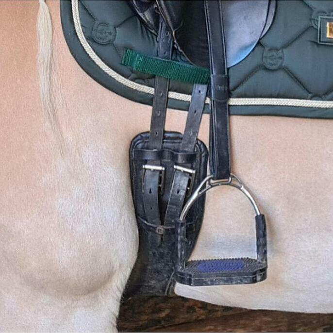 Ceinture De Dressage Anatomique Harry's Horse Freefit - Mousse à Mémoire De Forme - Taille 20