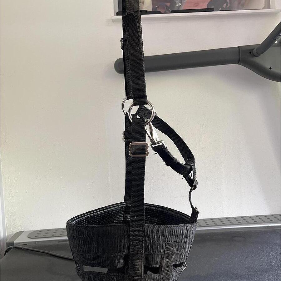 Museau De Pâturage Shires FLEXI GRAZER - Pour Chevaux, Neuf Sous Emballage