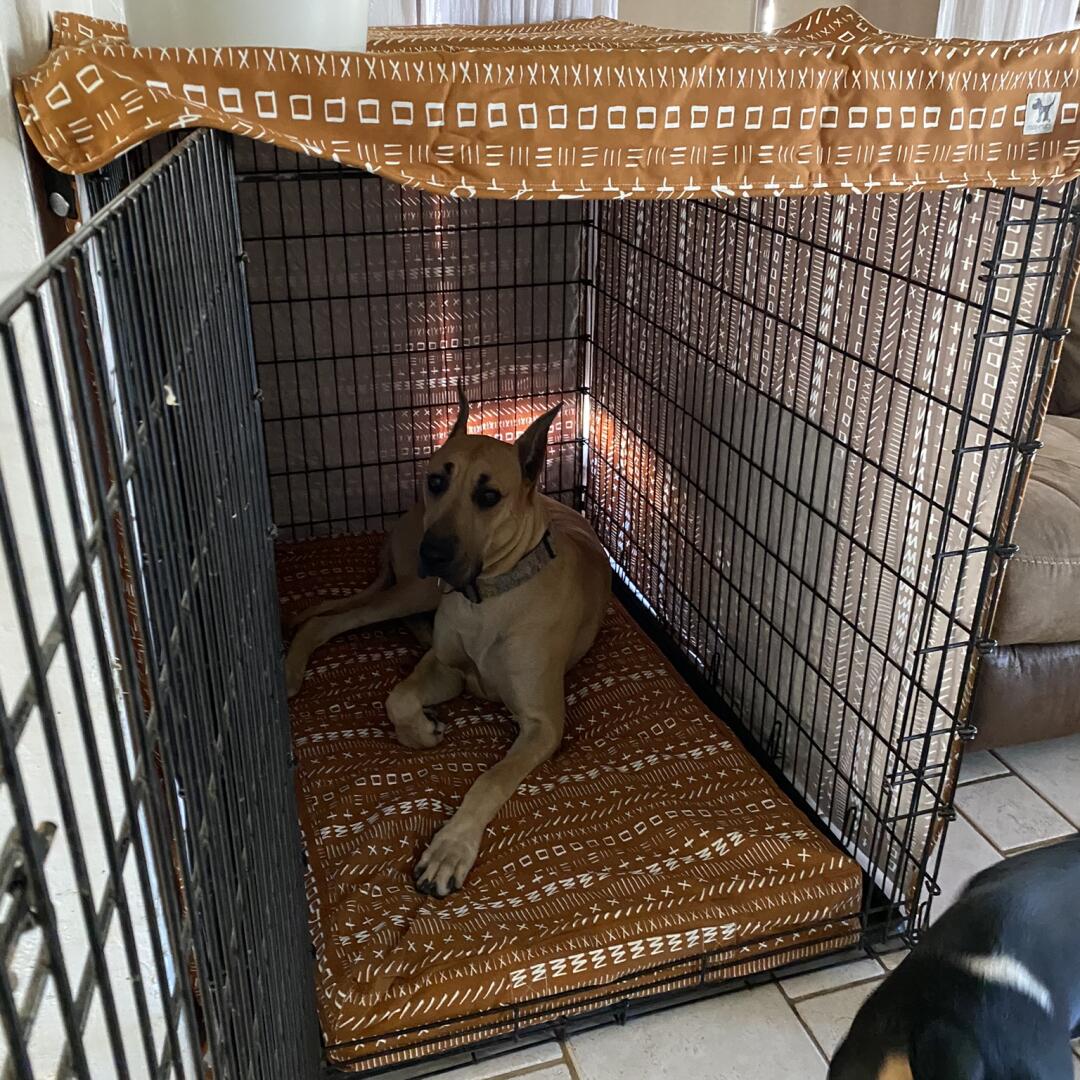 How To Make A Dog Crate More Comfortable