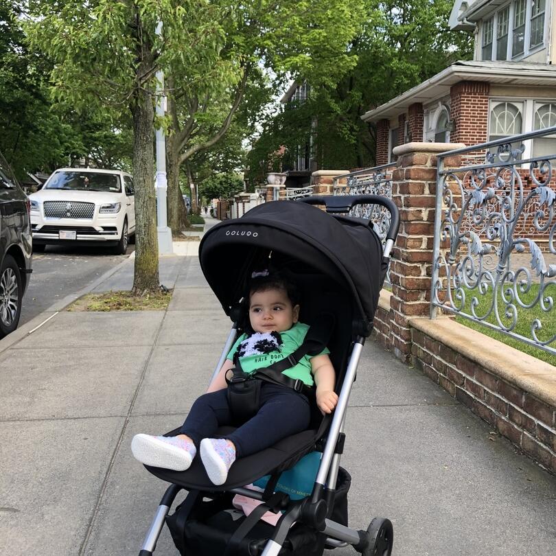 The Compact Stroller Black Colugo