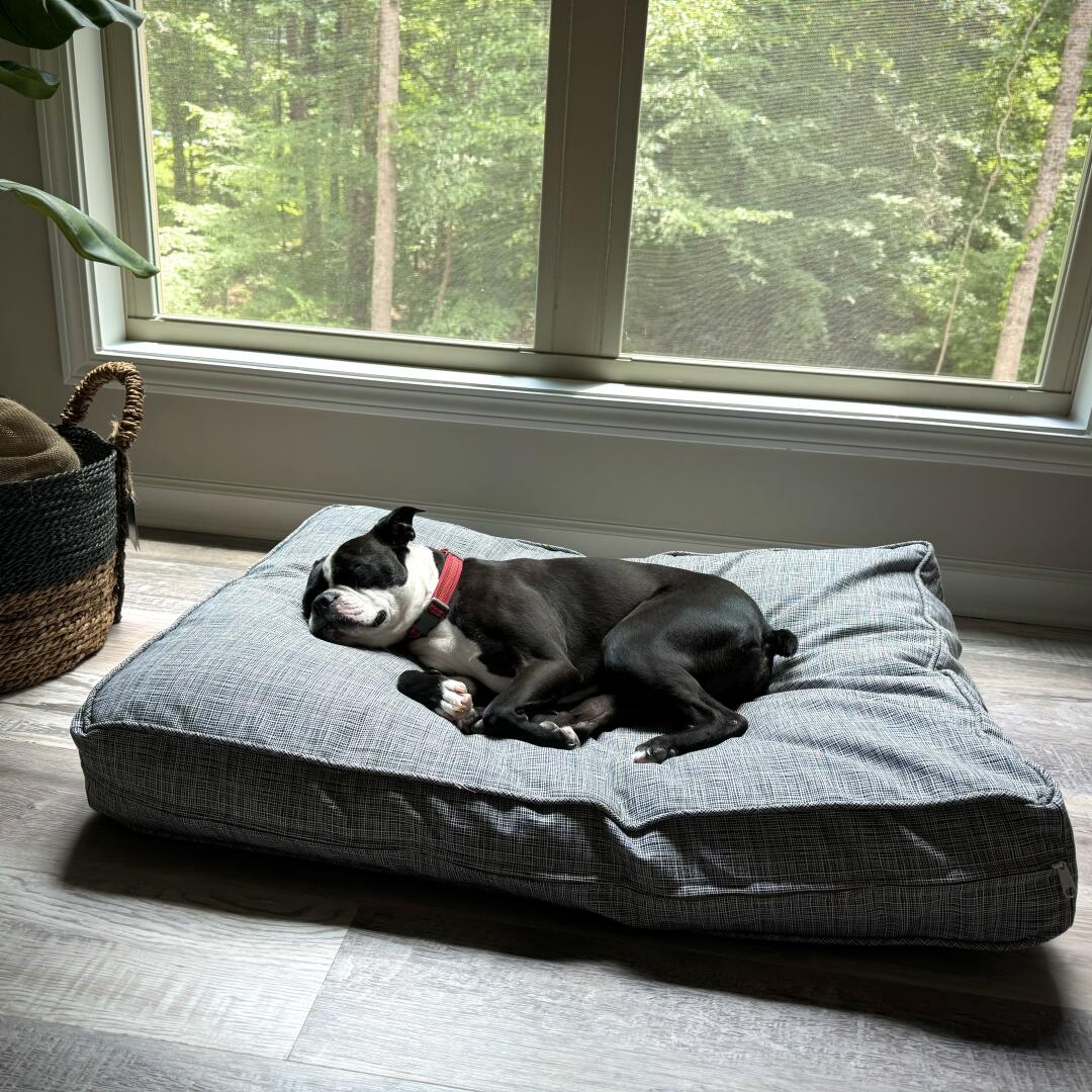Canvas Dog Bed Covers Durable Dog Bed Covers 100 Cotton Molly Mutt