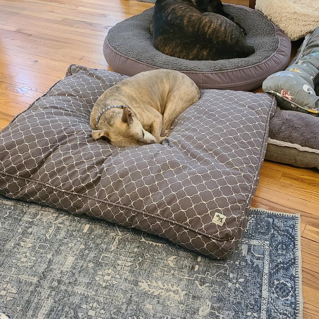 My pillow dog bed replacement cover discount