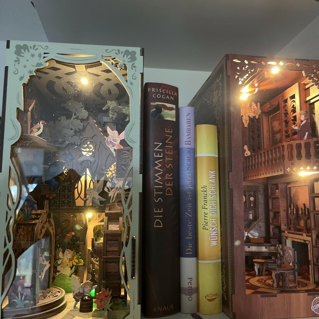 Book Nook Secret World of the Forest by MagicHolz | 243