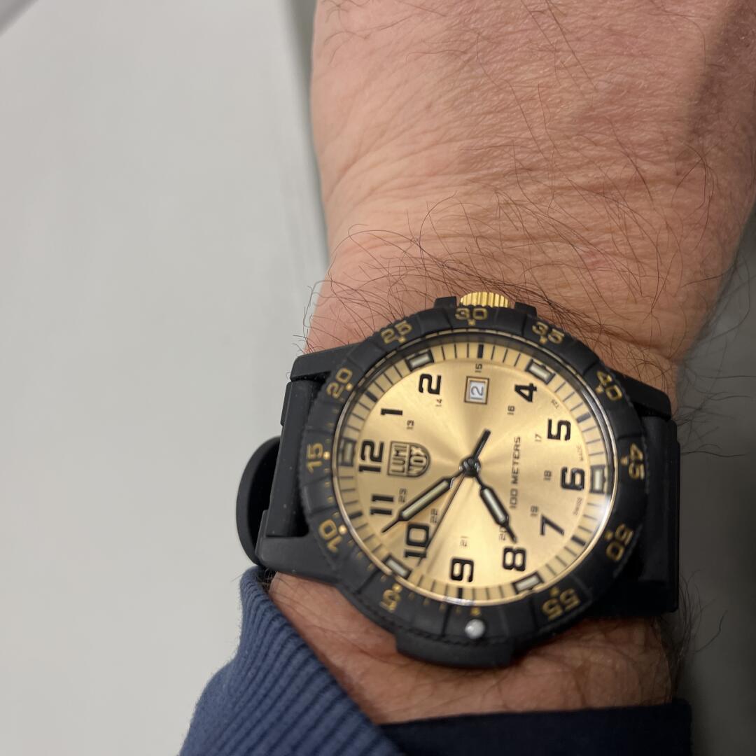 Luminox wrist watch online