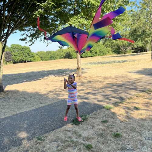 Colourful Kids Kite - Garden Toy base