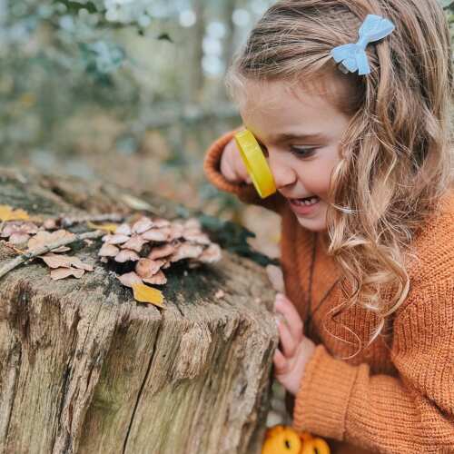 Kids Outdoor Toy - Bug Hunting Kit base