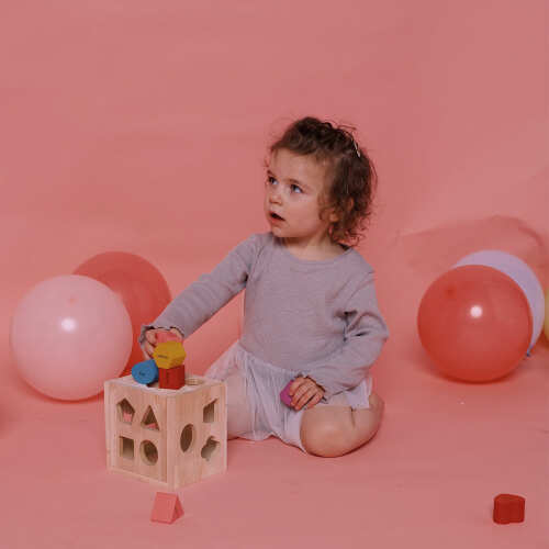 Shape Sorter - Learning Game