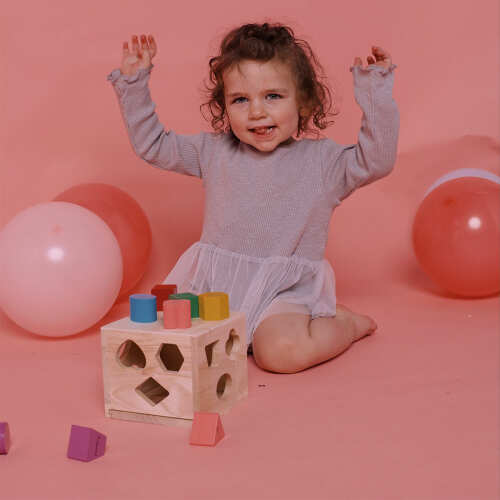 Shape Sorter - Learning Game