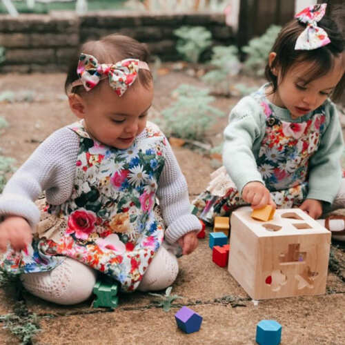 Shape Sorter - Learning Game