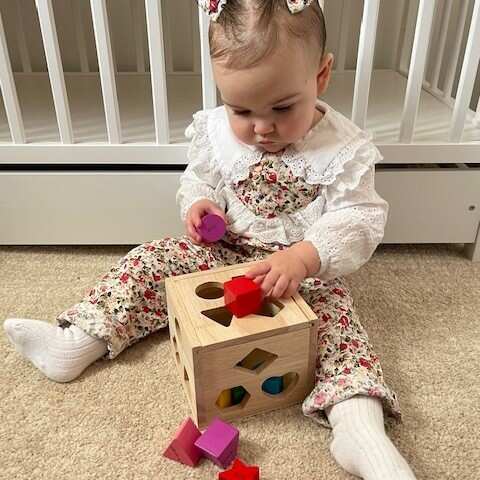 Shape Sorter - Learning Game