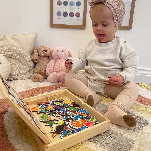 Dinosaur Magnetic Board - Jurassic Toy Set base