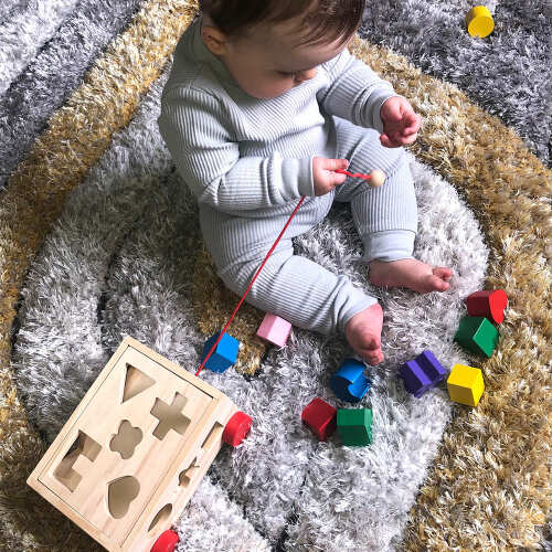 Shape Sorter - Shape Sorting Toy
