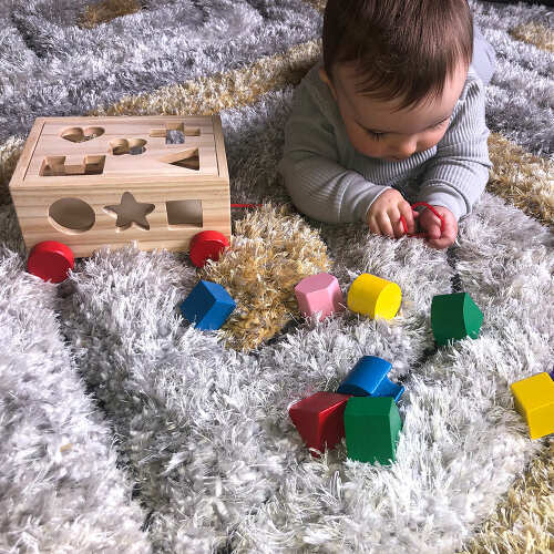 Shape Sorter - Shape Sorting Toy