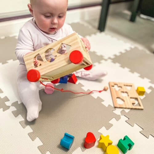 Shape Sorter - Shape Sorting Toy