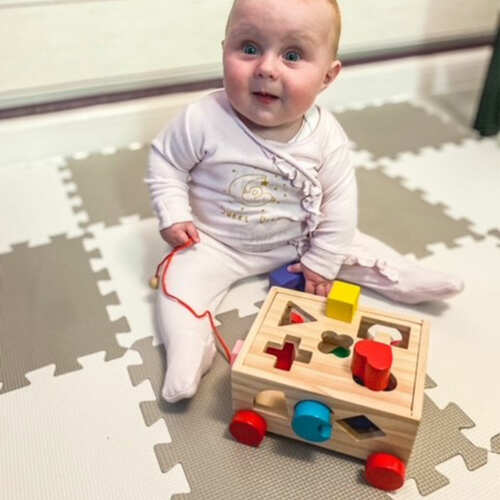 Shape Sorter - Shape Sorting Toy