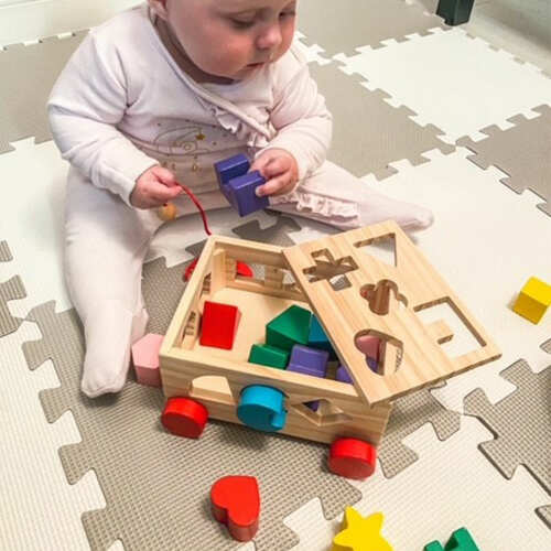 Shape Sorter - Shape Sorting Toy