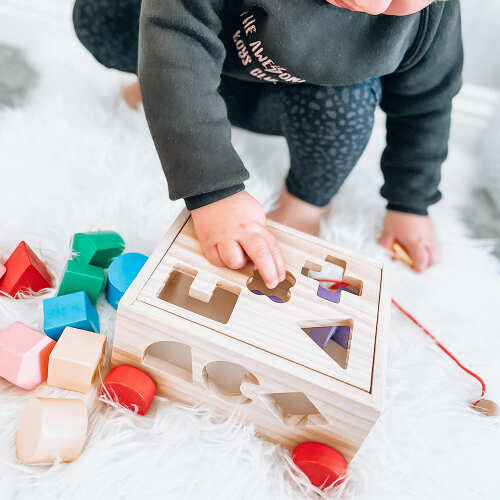 Shape Sorter - Shape Sorting Toy
