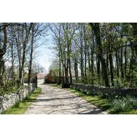 Read Wowcher Reviews