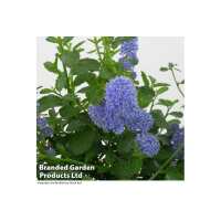 Read Wowcher Reviews