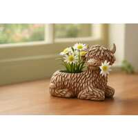 Read Wowcher Reviews