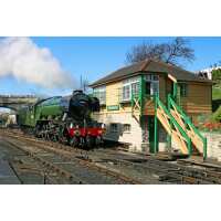 Read Wowcher Reviews