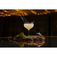 Read Wowcher Reviews