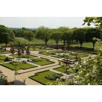 Read Wowcher Reviews