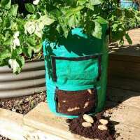 Read Aqua Gardening Reviews