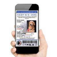 Read serviceanimalbadge-com Reviews