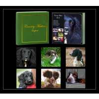 Read Harrison Cropper Reviews