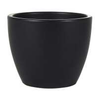 Read Hortology Reviews