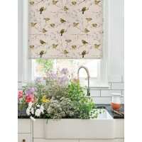 Read Order Blinds Online Reviews