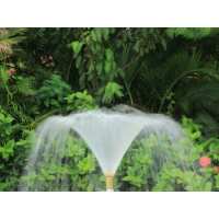 Read Water Garden Ltd Reviews