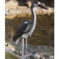 Read Water Garden Ltd Reviews