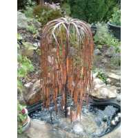 Read Water Garden Reviews