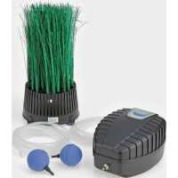 Read Water Garden Ltd Reviews