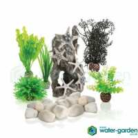 Read Water Garden Reviews