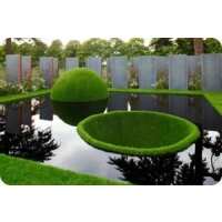 Read Water Garden Ltd Reviews