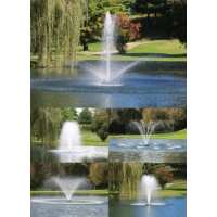 Read Water Garden Reviews