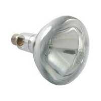 Read Easy Light Bulbs Reviews