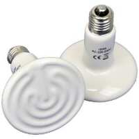 Read Easy Light Bulbs Reviews
