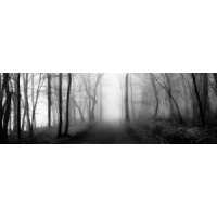 Read King & McGaw Reviews