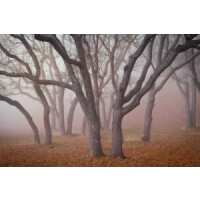 Read King & McGaw Reviews