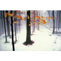 Read King & McGaw Reviews